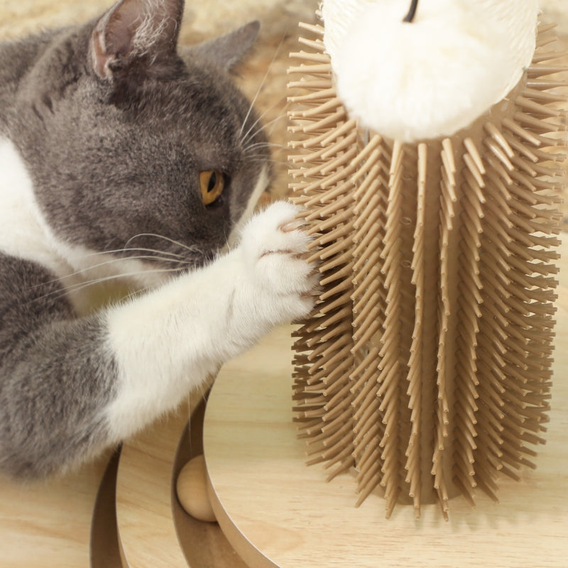 Cat Scratching Post, 49cm 5-in-1 Sisal Post, Track Ball, Self Grooming Brush, Hanging Toy Ball, Feather, Oak Tone