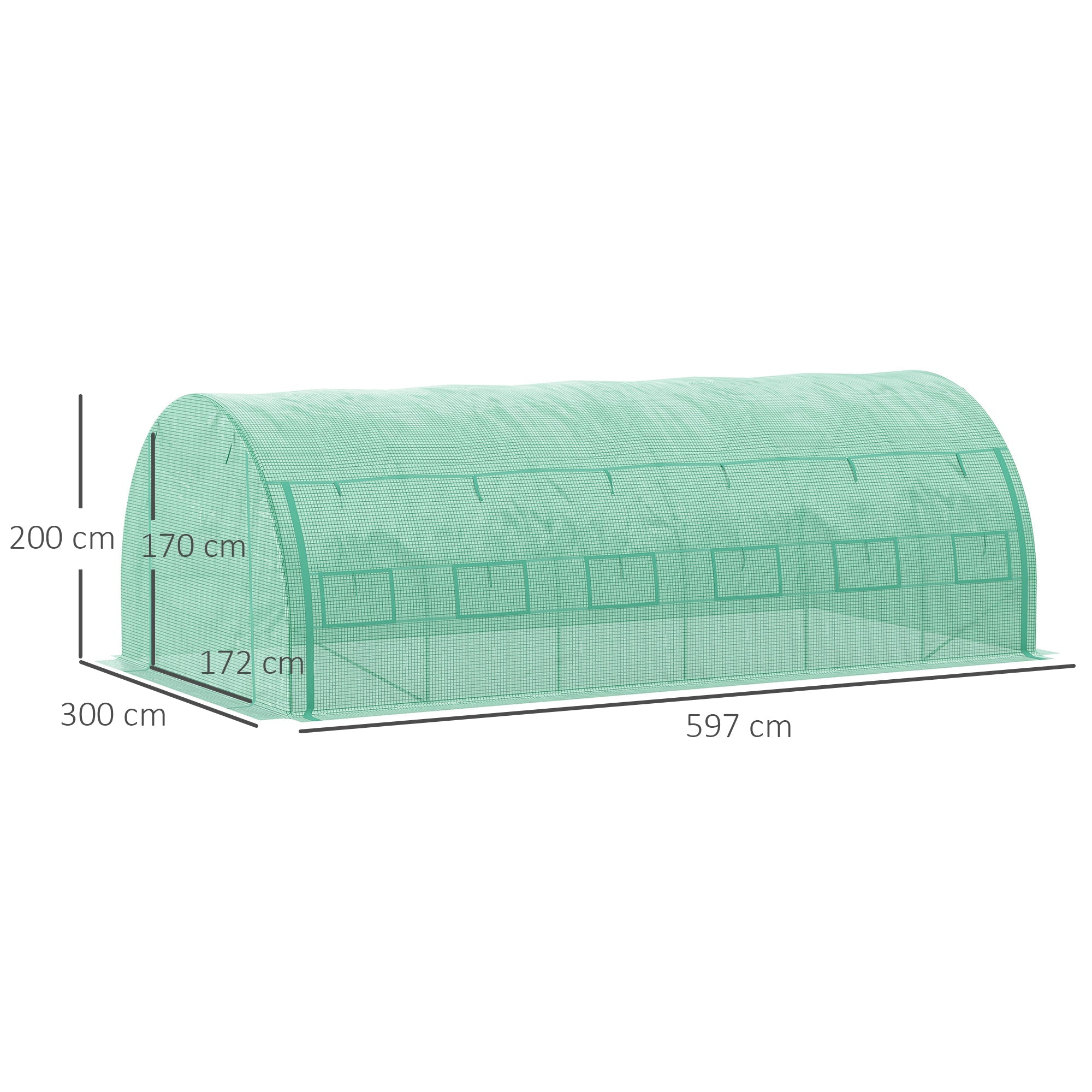 Polytunnel Greenhouse Walk-in Grow House Tent, Roll-up Sidewalls, Zipped Door, 12 Windows, 6x3x2m, Green