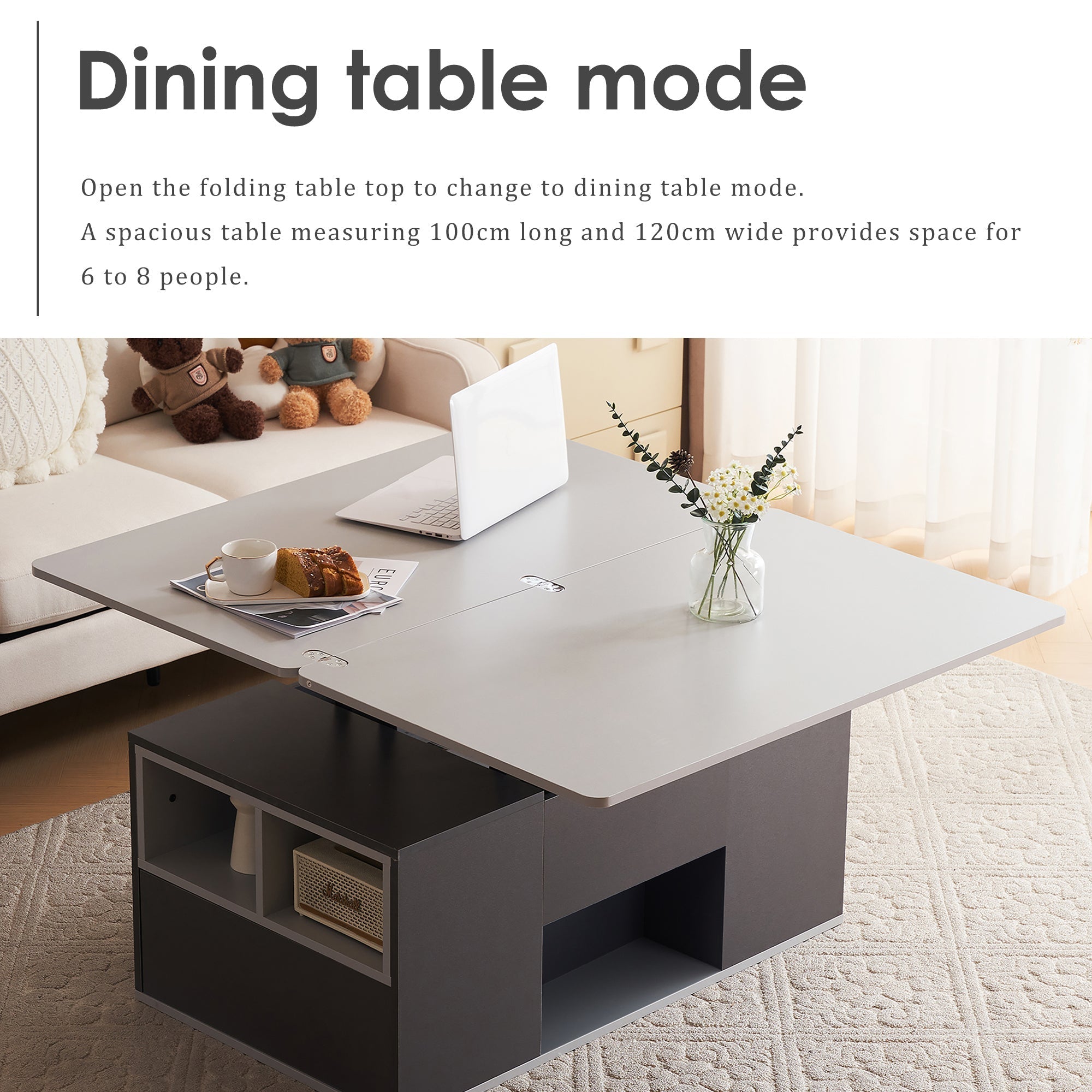 Coffee Table with Storage, Lift-Up, 2 Drawers, Grey